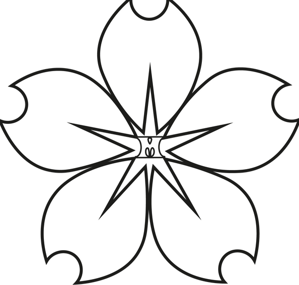 MALUS WEAR